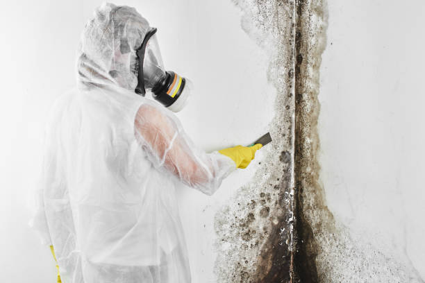Best Crawl Space Mold Removal  in Gothenburg, NE