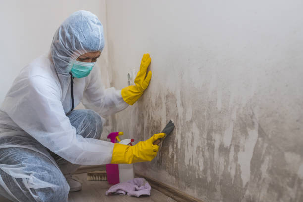 Best Crawl Space Mold Removal  in Gothenburg, NE