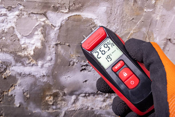 Attic Mold Removal in Gothenburg, NE