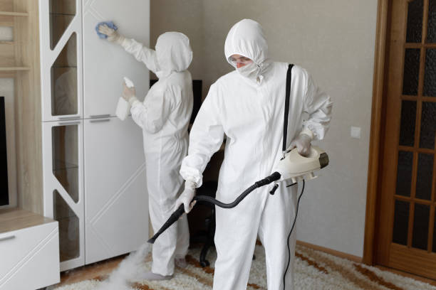 Mold Testing and Removal in Gothenburg, NE