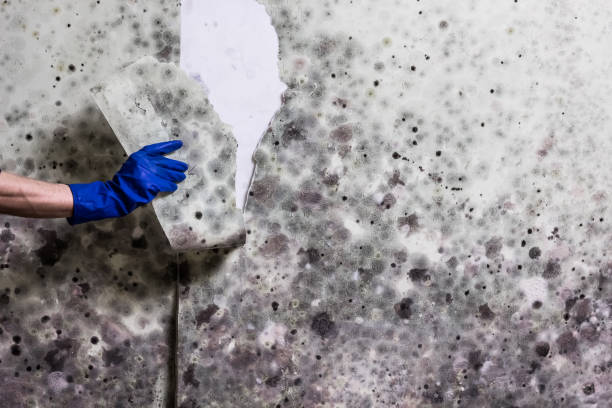 Water Damage Restoration in Gothenburg, NE