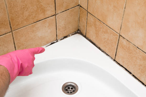 Best Home Mold Removal  in Gothenburg, NE